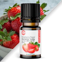 천연 향료 모음 8종 자일리톨 사탕 만들기, 천연 레몬향, 1개, 30g