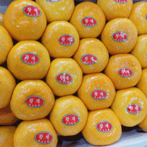 황금열매 감귤 만감류 하우스 제주감귤 5kg, 천혜향 3kg (크기랜덤)