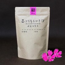 그림봉투화분 패랭이꽃 키우기 씨앗모종 재배 심기 좋은식물, 벤타샵상품선택