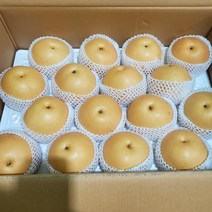 [과애모] 업소용 즙용 신고배 15kg