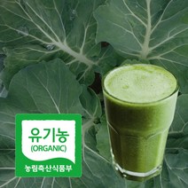 주스용케일 녹즙재료 유기농케일 1kg, 1개