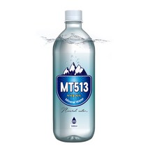 프리미엄 미네랄 워터 바이오규소 생수 MT513 500ml x 20병, 1
