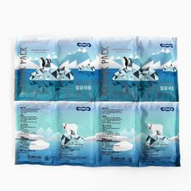 아이스백 신선도유지 얼음대용 아이스팩 2개 아이스쿨팩 얼음통 여름, 2호