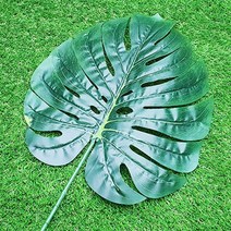 특대형 나뭇잎조화 야자수 몬스테라 잎사귀 조경