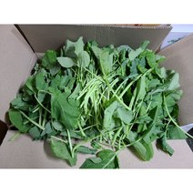 #가락시장 나물이네# 당일경매 제주유채나물4kg 청정지역제주 비타민풍부 유채나물/오후2시이전주문당일출고99%/주말 공휴일제외, 4kg