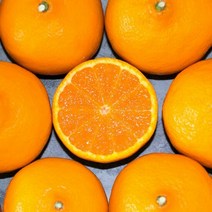 [식식한상] 제주직송 귤로향 2kg 대과 8-12과, 단품