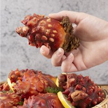 산지직송 통영 생물 멍게 손질 깐멍게 활멍게 500g 1kg 2kg 3kg 횟감 깐횟감 직거래 냉동, 1_2. 활멍게 2kg, 1개