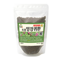 백장생 토종 엉겅퀴환, 300g, 5개