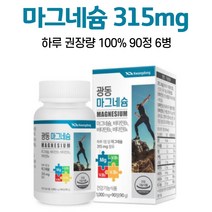마그네슘 영양제 비타민b 1일 영양성분 기준치 100% 충족 마그네숨 알약케이스 증정, 90정, 6개