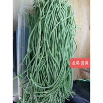 (차씨네숍)줄콩 롱빈 (LONG BEAN) 껍질콩 국내재배 그린빈스 스트링빈, 초록색줄콩1kg