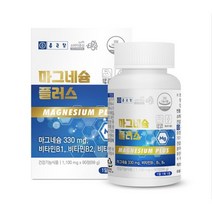 종근당 마그네슘1100MGX90정 마그네슘영양제추천 눈떨림마그네슘 마그네슘추천