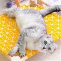 피카부 고양이 윈도우 해먹, 노랑색