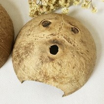 어항 은신처 코코넛 파충류 거북이 도마뱀 구피 새우 가재 물고기 키우기