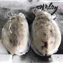 [급냉갑오징어] 손질 갑오징어100/150 1kg 6-8미