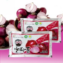 웰빙건강마을 HACCP인증 무안 자색 양파즙 60포, 2박스, 3000ml