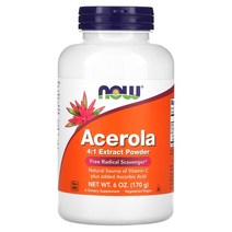 Now Foods (나우 푸드) 아세로라 4:1 추출물 파우더 6 온스 (170 g), 수량, 1개