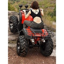 사륜 4륜 오토바이 125cc 버기카 짐운반 바이크, 리틀 불 패키지 2