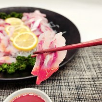 건강의정석 자연산 숭어회 + 회초장세트, 2) 숭어회(350g) 2팩 회초장세트 2개