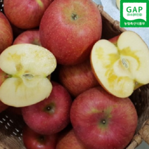 추풍령 고랭지 부사 사과 정품 흠과 선물용 5kg 10kg 15kg GAP인증 햇 꿀사과, 정품 5kg(소과 21개 이상)