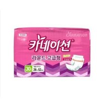 카네이션 라운드형 성인용 속기저귀, 2팩