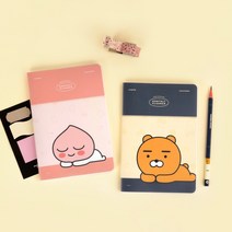 카카오프렌즈 월간플래너 2023년 먼슬리 플래너, 라이언