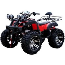 사발이 효도상품 농업용 125cc atv 사륜 바이크 4륜, 블루/오토바이125cc++전진/후진+램프