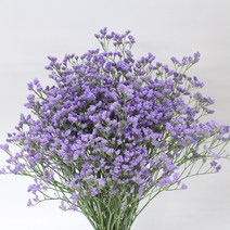 오하이오 블루 생화택배 (고속터미널꽃시장 직배송) 꽃예꽃 드라이가능, 비슷한 느낌의 꽃으로 변경(다른꽃or다른색), 금~일요일 구매시 (화요일 도착)