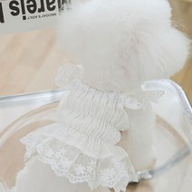 강아지옷 강아지원피스 대형견옷 밝은 노란색 디자이너 강아지 드레스 공주 활 애완 동물 긴 치마 생일 여름 옷 꽃무늬 미디엄 요크 개 고양이 의류, [04] L, [08] lace white