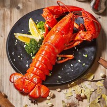[식품의전당] 자숙 냉동 랍스터 캐나다 랍스타 바닷가재 밀키트 선물세트 특대 구이용 1미 2미 4마리 몸통 red lobster, 3_100%자연산 자숙랍스터 4마리