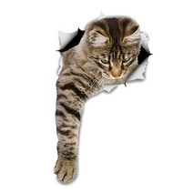 차량용 냉장고 미니 냉온장고 캠핑용 온장고 3Ratels CM29 사랑스러운 고양이 페르시아 Birman Bombay 영국, 01 CM29-1_04 40cm(15.75 inch)