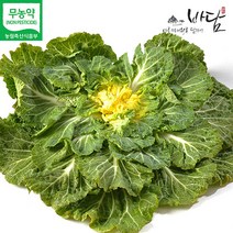 국내산 무농약 진도 봄동 1.5kg, 단품