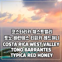 (커피생두) 182 코스타리카 웨스트밸리 토노 바란테스 티피카 레드허니 1kg