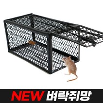 월드그린 뉴 벼락쥐망, 1개, 1개