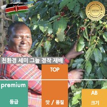 캅카와 생두 케냐 AB TOP 카라티나 (뉴크롭), 1kg