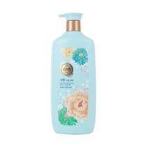 리엔 서향 자윤 샴푸 950ml, 1개