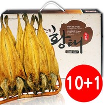 용대리 황태포 5-10마리 38-46cm, 42-43cm, 5개