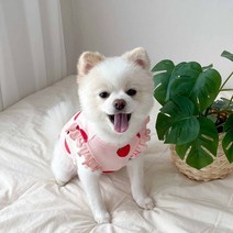 여름 얇은 딸기 애완 동물 조끼 슈나우저 푸들 작은 강아지 플라잉 슬리브 의류 디자이너 개 옷 Tshirt, [05] XL, [02] pink