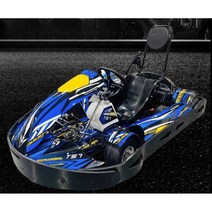 레이싱 카트 고카트 범퍼카 전동차 전기 웨건 휠, Loncin GX270이 장착된 TS7-