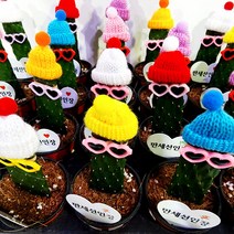 꽃나무팜 (5개한세트) 만세선인장 장식품 선글라스 모자선인장 귀여운선인장 인테리어식물 부모님 연인 집들이선물 전자파차단 모자선글라스색상랜덤