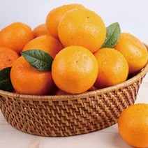 제주 천혜향 2.5kg/4.5kg/천혜향/제주천혜향/제주과일/햇과일/인기과일/천혜향2.5kg/천혜향4.5kg, 천혜향 대/7~10과내외 2.5kg