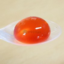 과학실험 물방울 오호 물병 만들기 5인 과학키트 실험키트 사이언스 과학상자 관찰