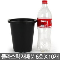 플라스틱 화분 녹차 재배분 5호(10개) - 플분 양란 난화분 란화분 난재배분 양란화분 난재배 녹차재배분 긴화분, 03_청운_재배분(6호) X 10개