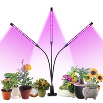 HK TongHui LED 식물 성장조명 화분 재배, 3LED 조명
