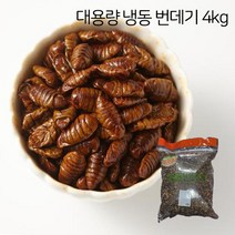 대용량 냉동 번데기 4kg 단백질 간식 술안주 식당 밑반찬 반찬용, 1개