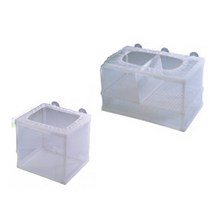 자드 치어망, 대