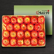 가공식품(브랜드없음) [22년 햇사과][산내들]명품 밀양얼음골 사과 5kg(21-23과), 단품없음