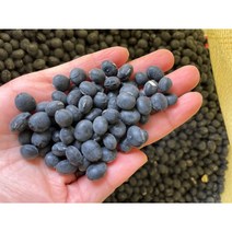 2022년 국산 서리태 검은콩 1kg 서리태 청자5호, 1개