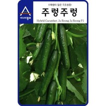 아시아종묘 오이씨앗종자 주렁주렁 오이 (100립) 암꽃발생이 높은 다수확 미니오이, 선택완료, 단품없음