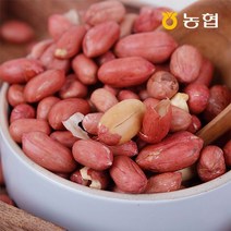 [자연맛남] 농협선별 고창 대성농협 볶음땅콩 500g x 2팩, 단품