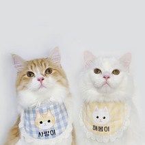 모모스페이스 고양이 스카프 이름 얼굴 코리안 숏 헤어 케이프 악세사리 스코티쉬 폴드, 핑크